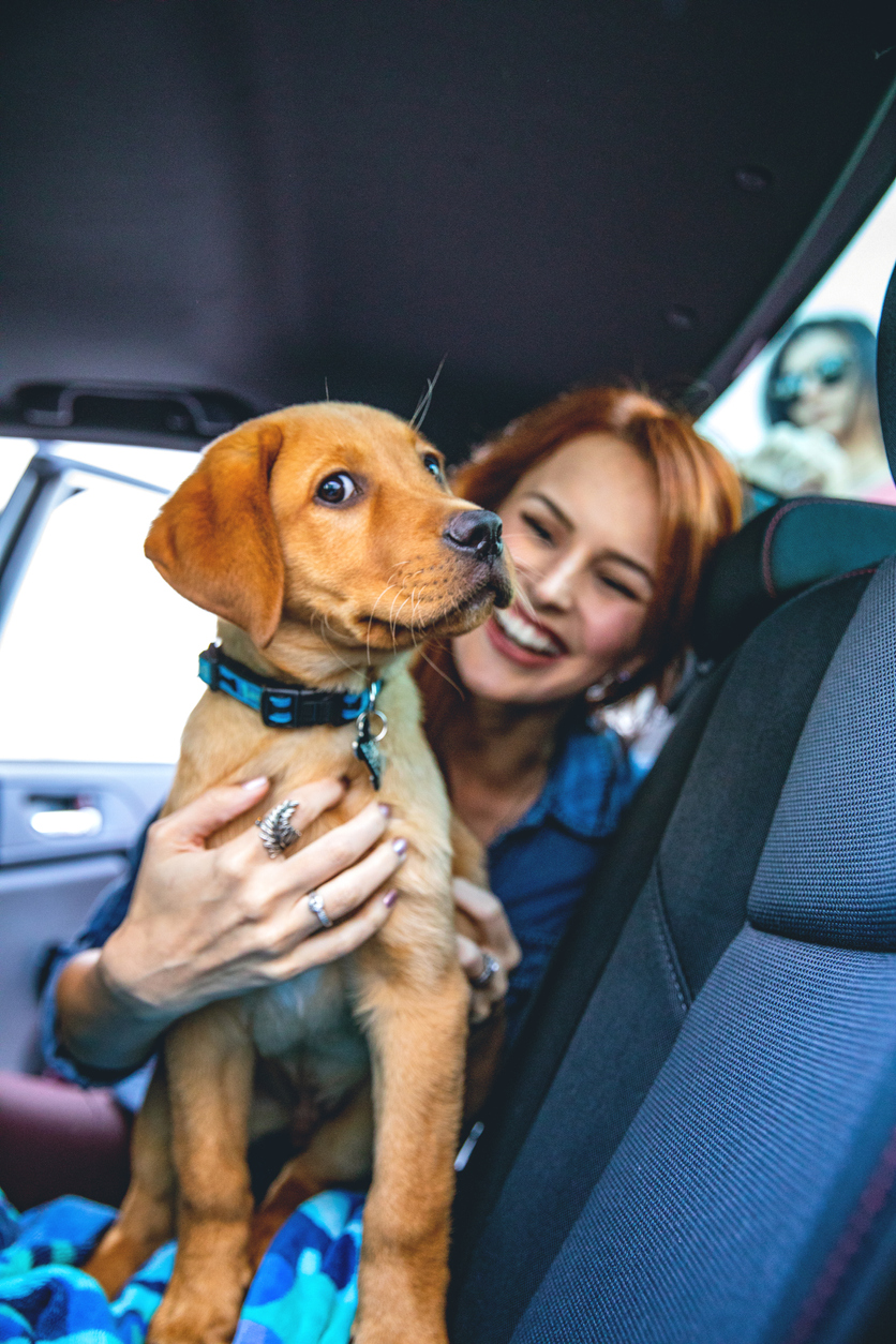 iStock 1010068310